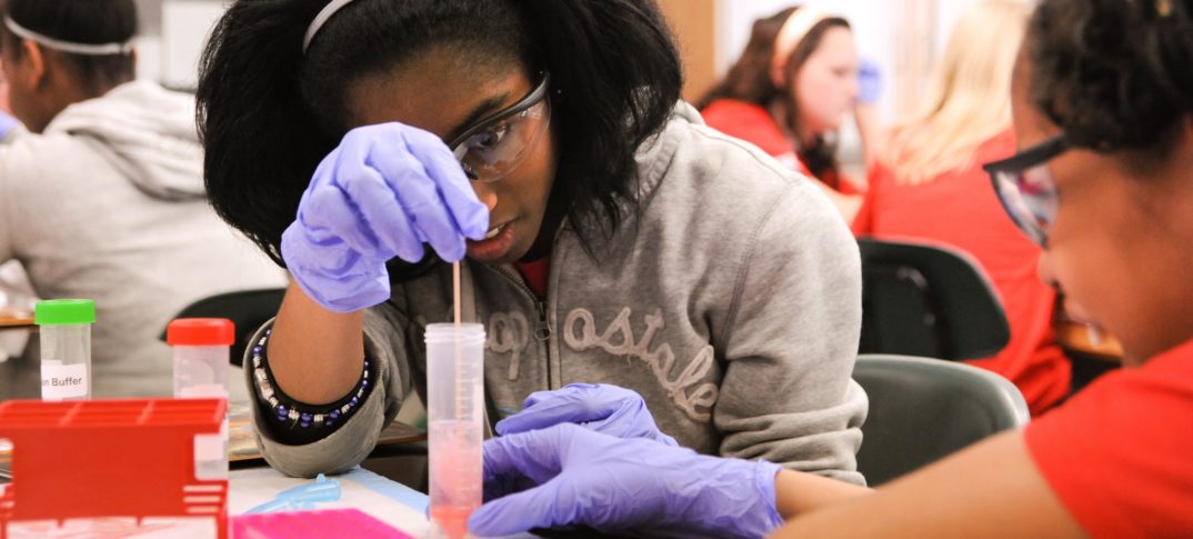 students explore science