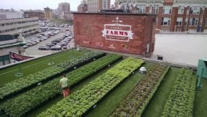 Green CIty Growers - Fenway Farms